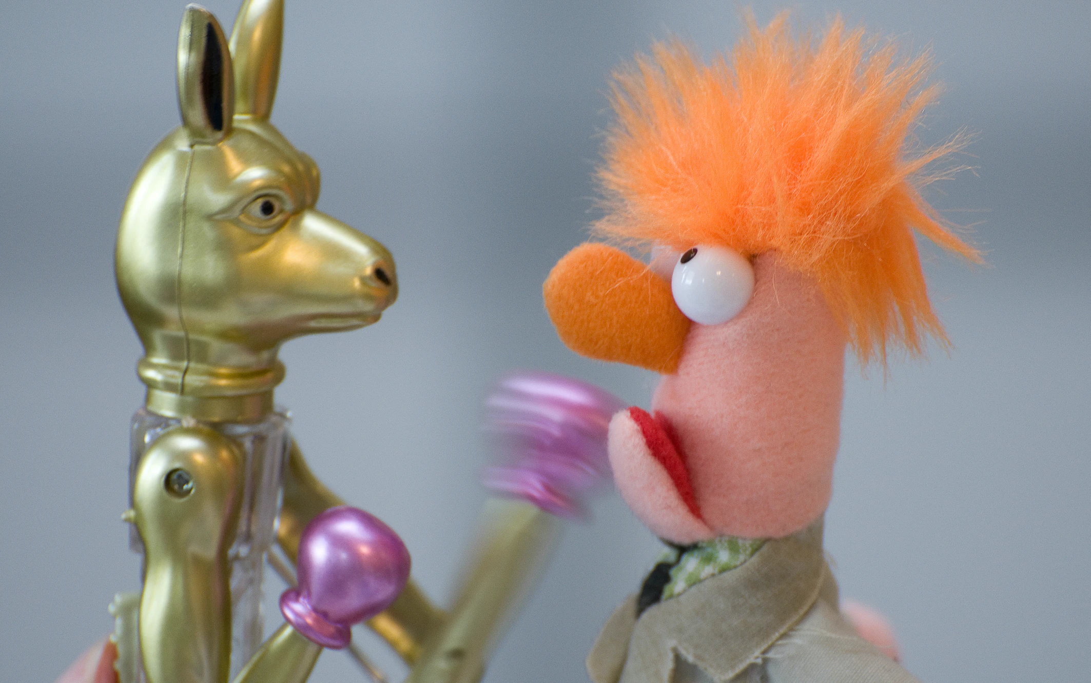A toy kanagaroo punching a muppet in the head